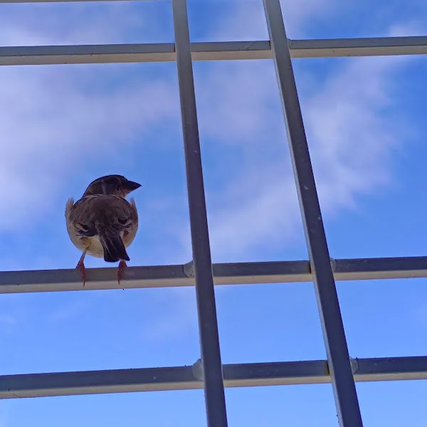 Loveurcontent - Elizabeth Yee